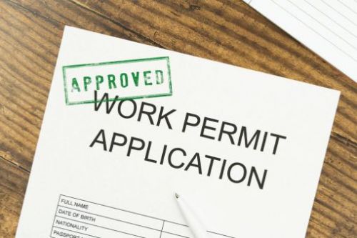 Work Permit image 